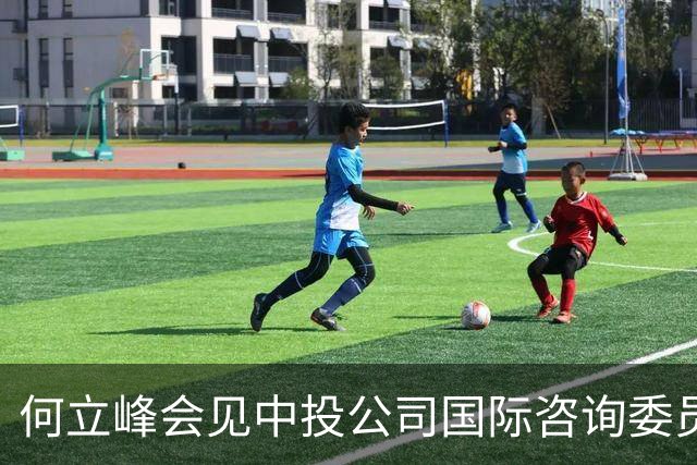 何立峰会见中投公司国际咨询委员会委员