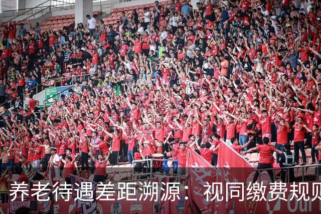 养老待遇差距溯源：视同缴费规则统一才是制度公平关键