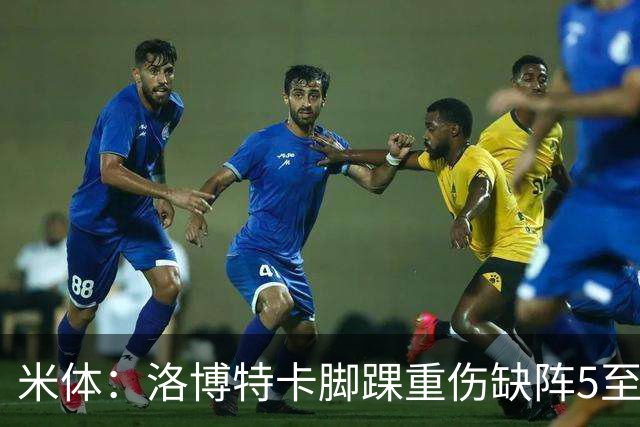 米体：洛博特卡脚踝重伤缺阵5至7周，年底前有望复出