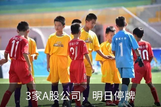 3家A股公司，明日停牌